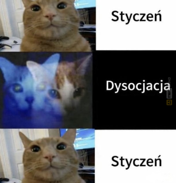 Śmieszny mem: 1475271 - MemLand