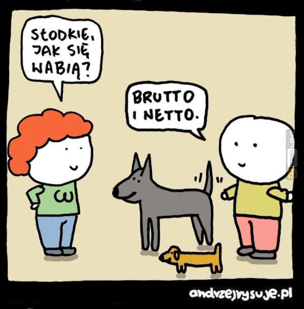 Śmieszny mem: 1477917 - MemLand