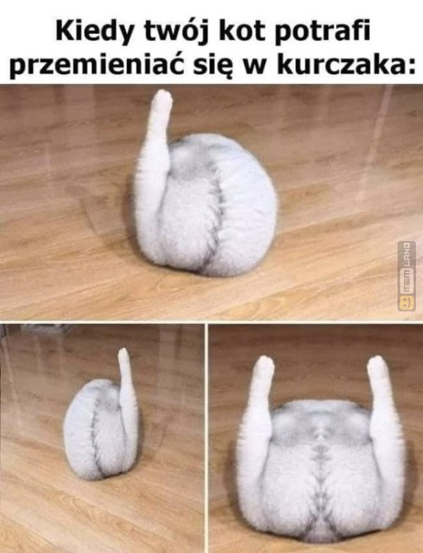 Śmieszny mem: 1478423 - MemLand