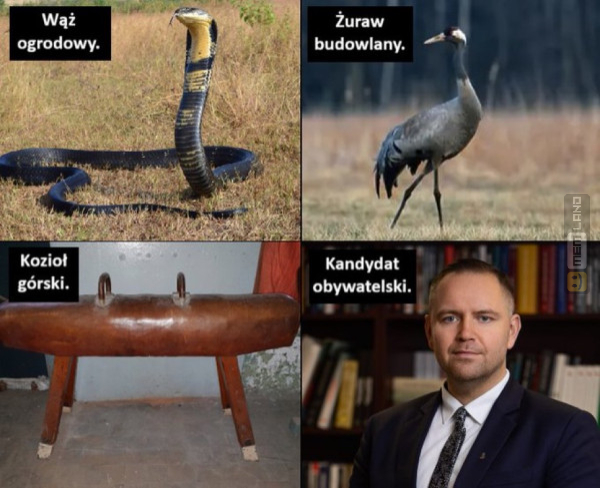 Śmieszny mem: 1495544 - MemLand