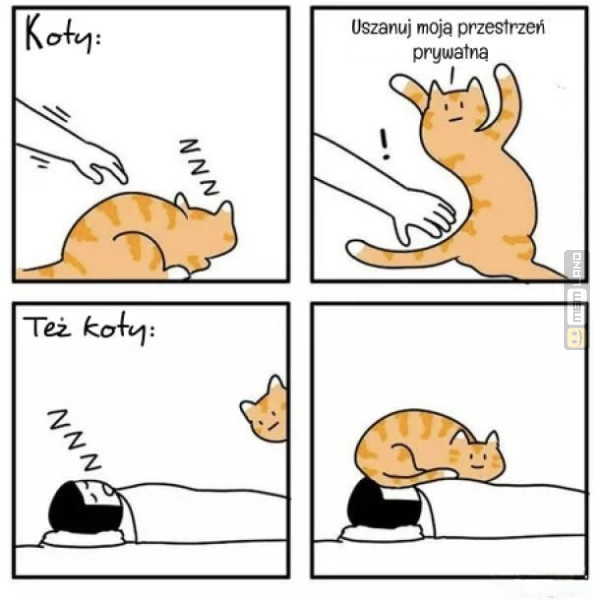 Śmieszny mem: 1504064 - MemLand