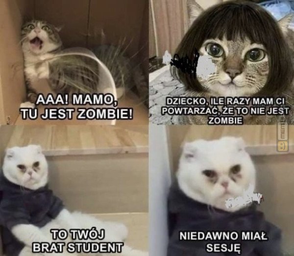 Śmieszny mem: 1506888 - MemLand