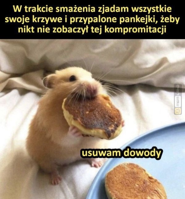 Śmieszny mem: 1515070 - MemLand