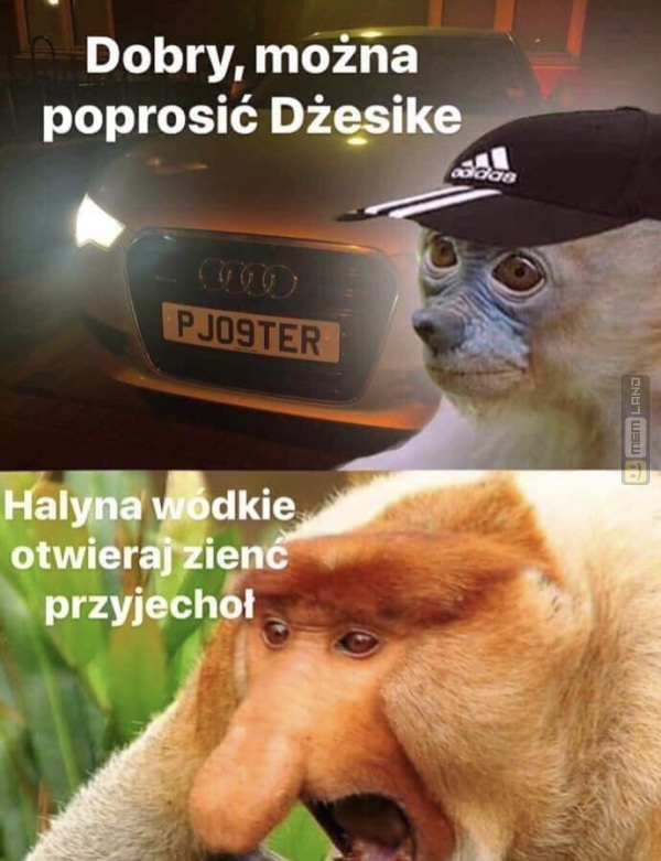 Śmieszny mem: 1518131 - MemLand