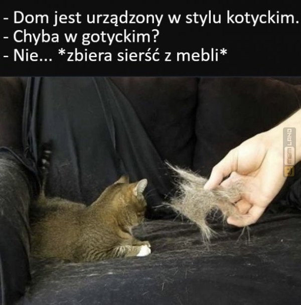 Śmieszny mem: 1525617 - MemLand