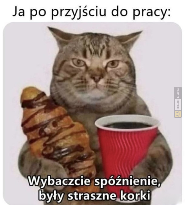 Śmieszny mem: 1533783 - MemLand