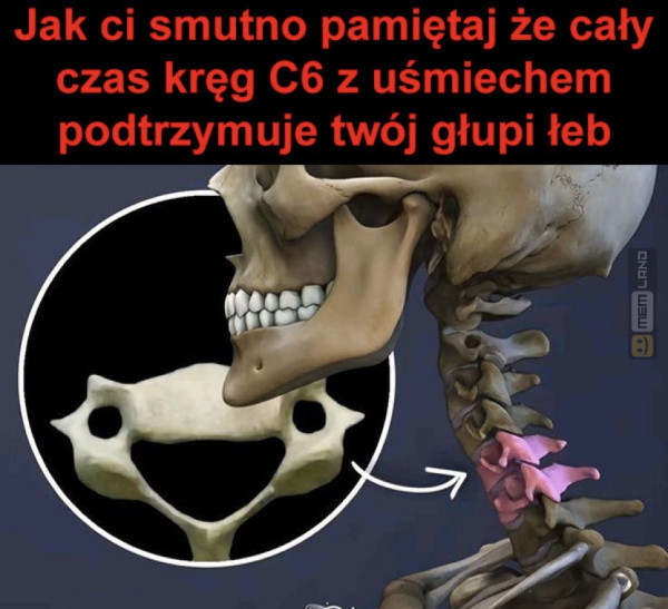 Śmieszny mem: 1535290 - MemLand