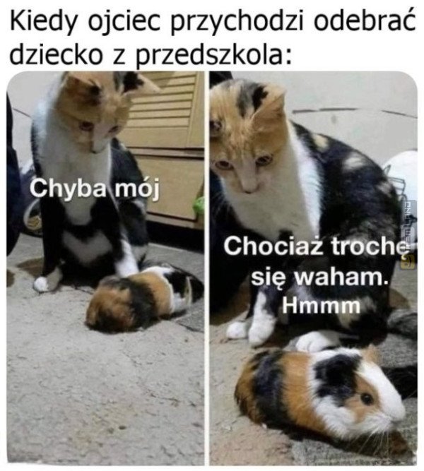 Śmieszny mem: 1539803 - MemLand