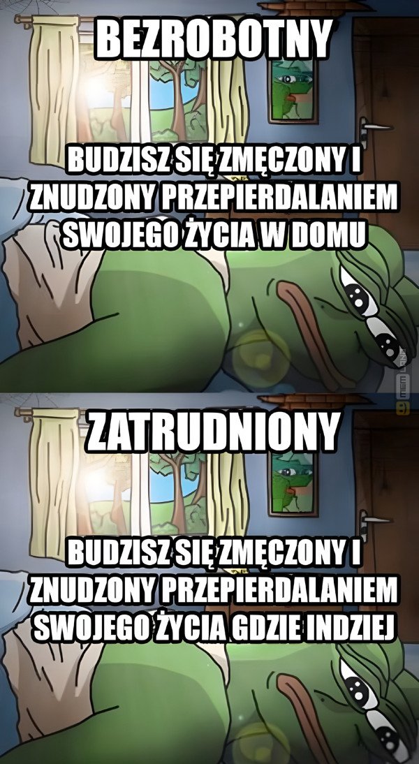 Śmieszny mem: 1539881 - MemLand