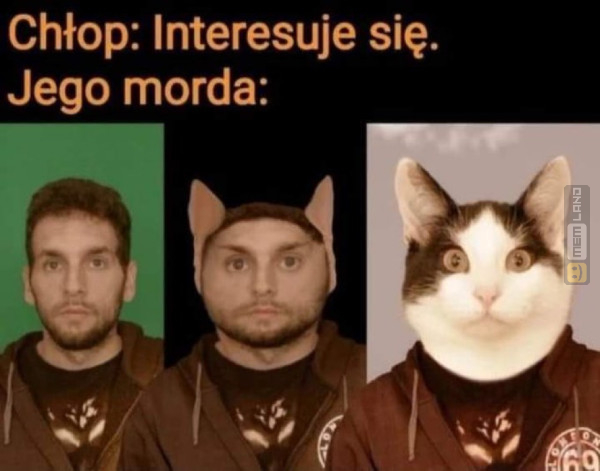 Śmieszny mem: 1542055 - MemLand