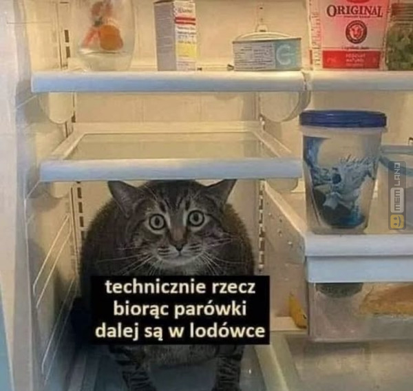 Śmieszny mem: 1549367 - MemLand