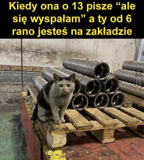 Śmieszny mem: 1559564 - MemLand