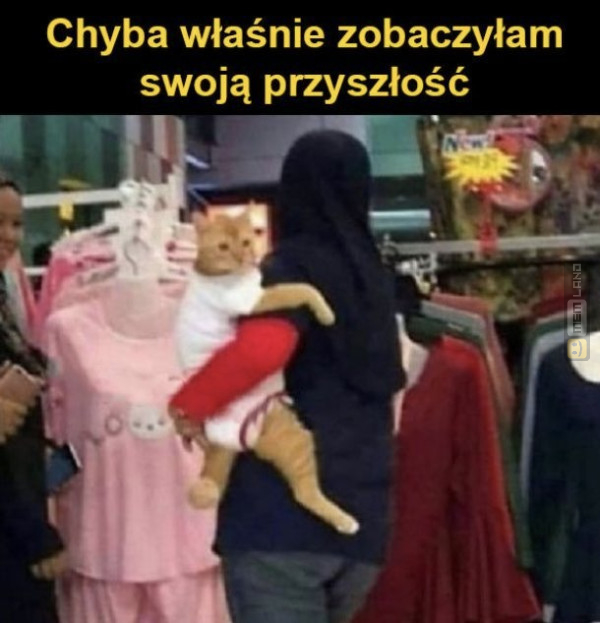 Śmieszny mem: 1560361 - MemLand