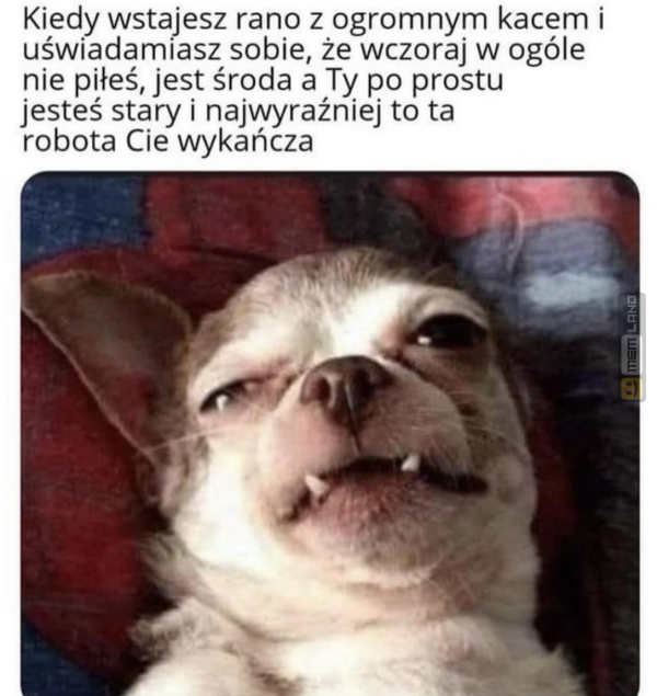 Śmieszny mem: 1568221 - MemLand