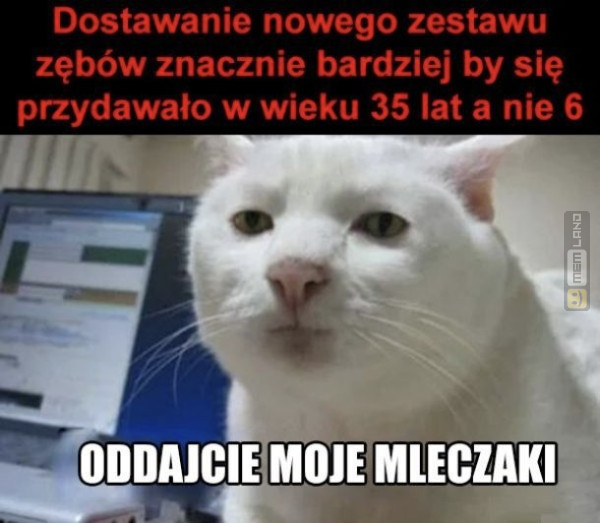 Śmieszny mem: 1577711 - MemLand