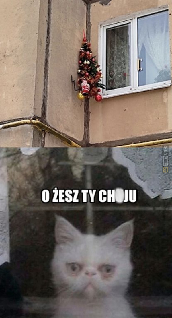 Śmieszny mem: 1584867 - MemLand