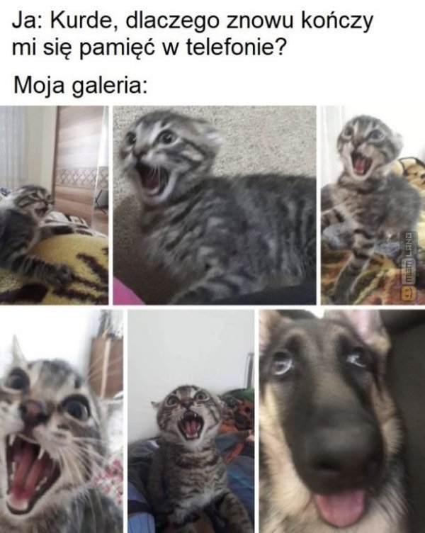 Śmieszny mem: 1586454 - MemLand