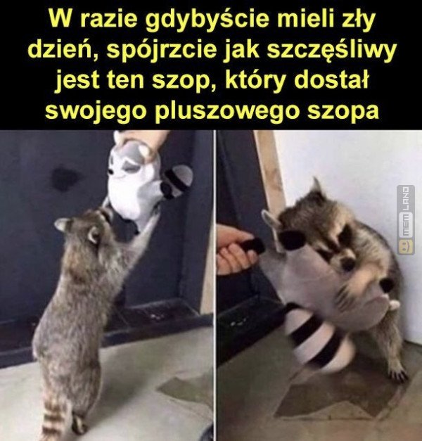 Śmieszny mem: 1596868 - MemLand