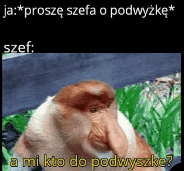 Śmieszny mem: 1599231 - MemLand