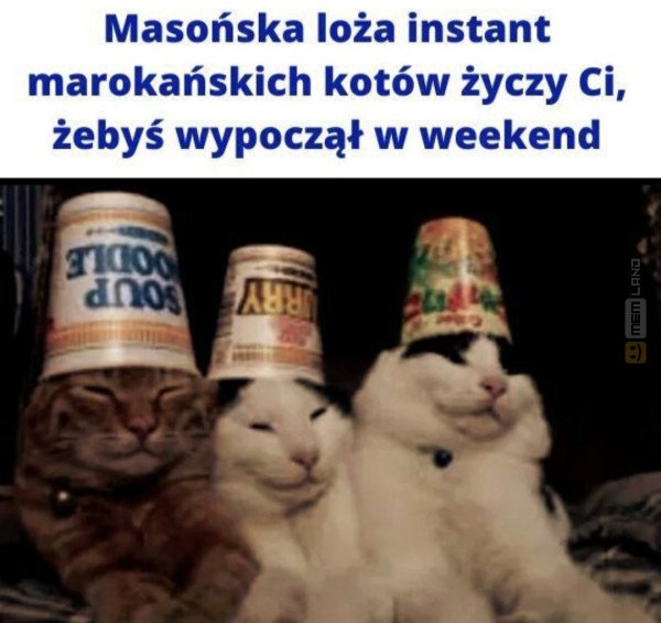 Śmieszny mem: 1599348 - MemLand