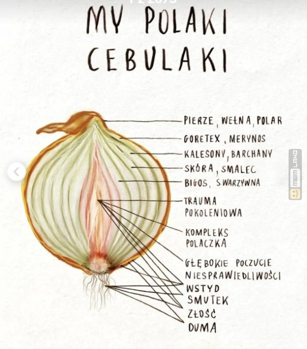 Śmieszny mem: 1599575 - MemLand