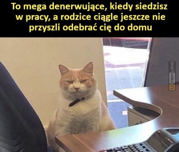 Śmieszny mem: 1605102 - MemLand