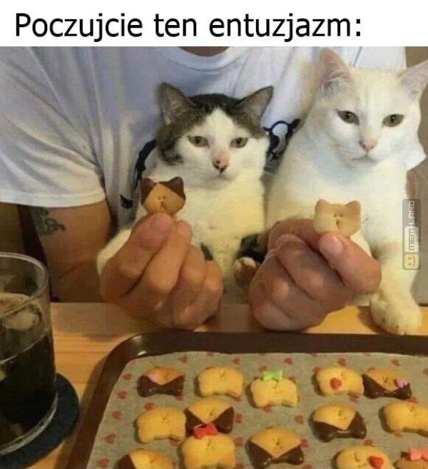 Śmieszny mem: 1606324 - MemLand