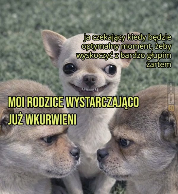 Śmieszny mem: 1615299 - MemLand