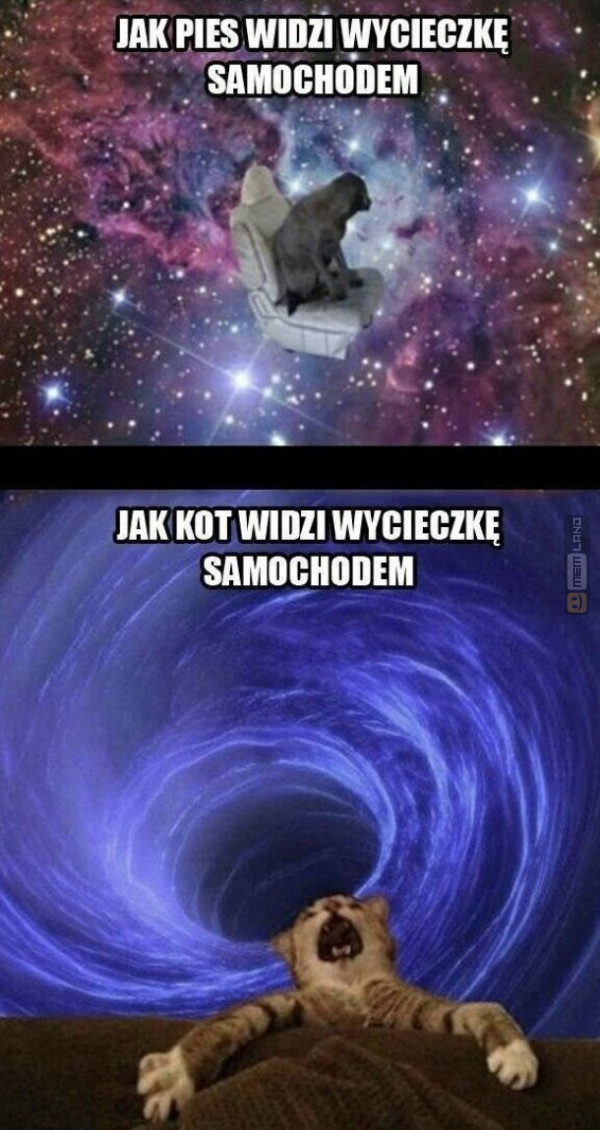 Śmieszny mem: 1616233 - MemLand