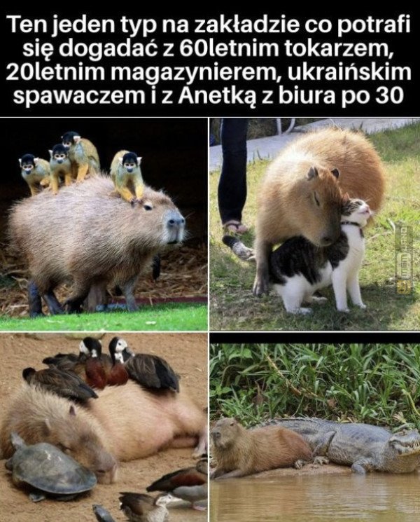 Śmieszny mem: 1617913 - MemLand