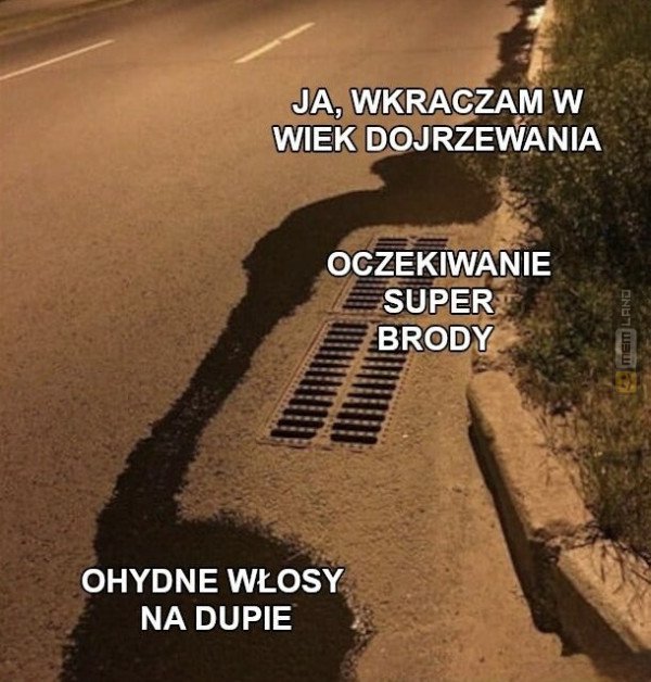 Śmieszny mem: 1619388 - MemLand