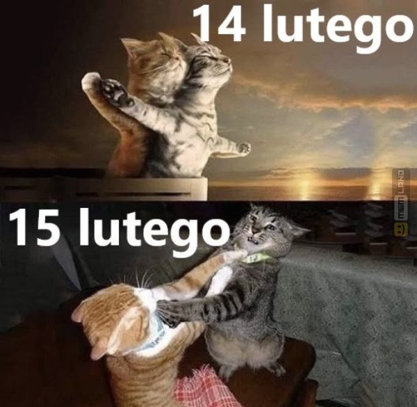 Śmieszny mem: 1619452 - MemLand