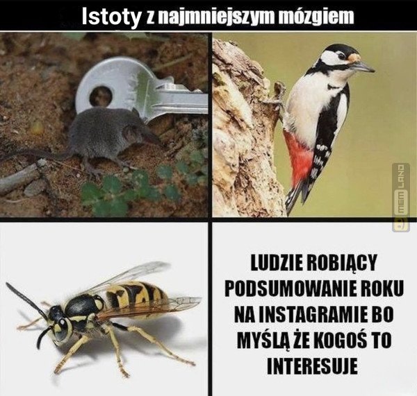 Śmieszny mem: 1619536 - MemLand