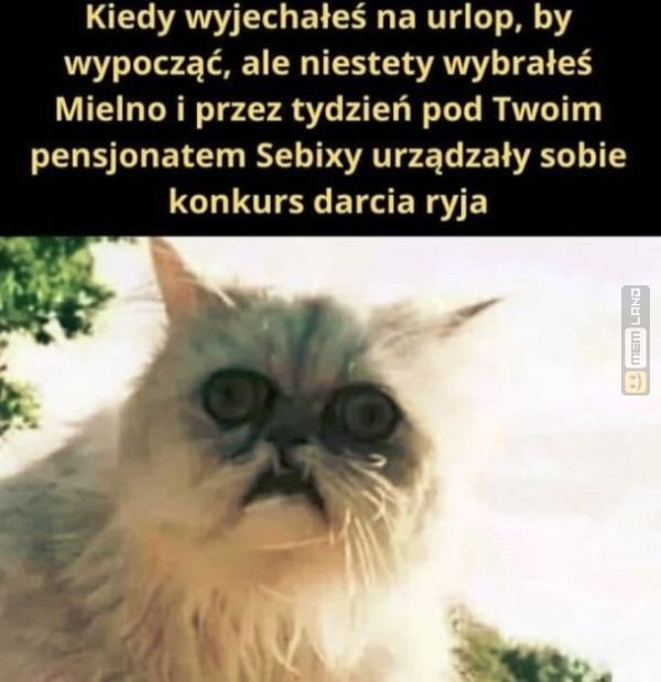 Śmieszny mem: 1619562 - MemLand