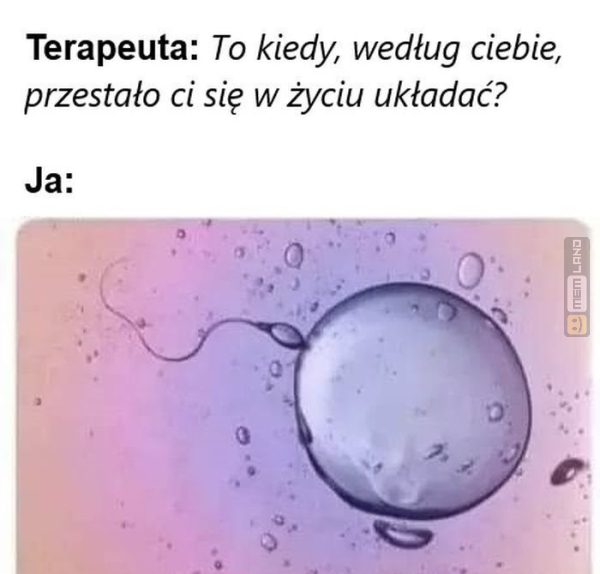 Śmieszny mem: 1636901 - MemLand