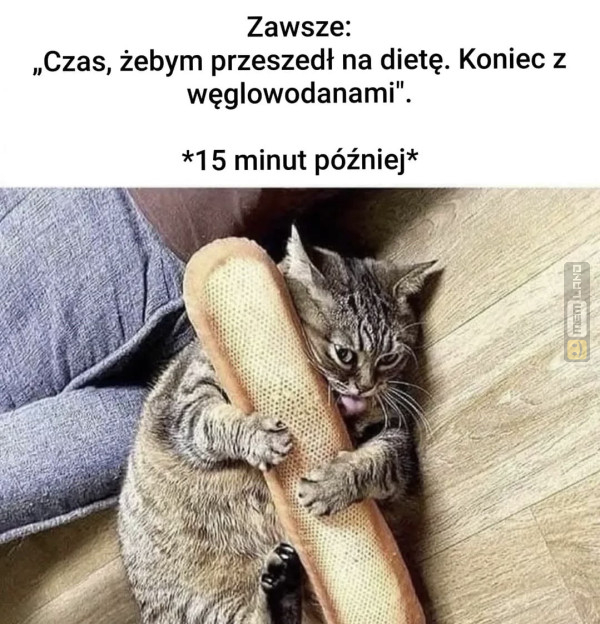 Śmieszny mem: 1637873 - MemLand