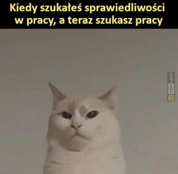 Śmieszny mem: 1651091 - MemLand