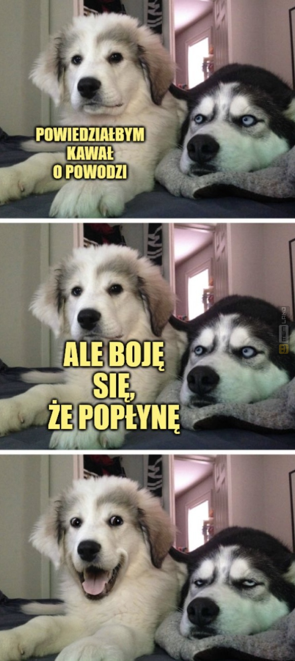 Śmieszny mem: 1654995 - MemLand