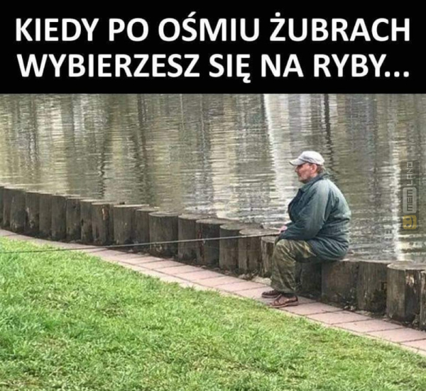 Śmieszny mem: 1656829 - MemLand