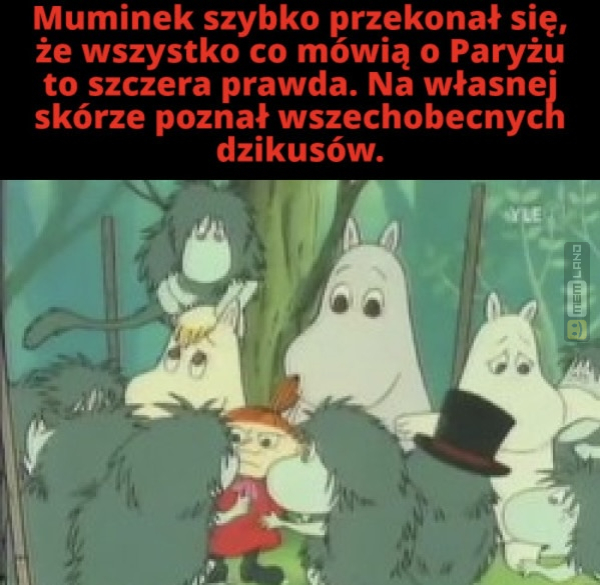 Śmieszny mem: 1662982 - MemLand