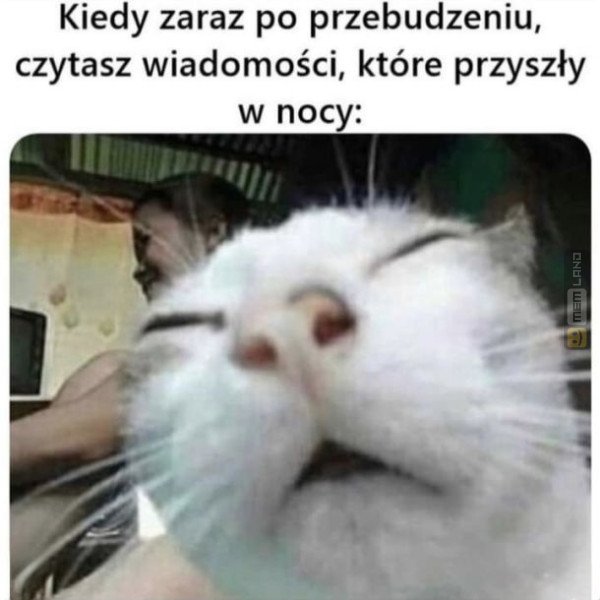 Śmieszny mem: 1664800 - MemLand