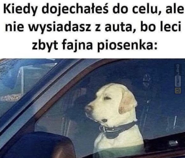 Śmieszny mem: 1667195 - MemLand