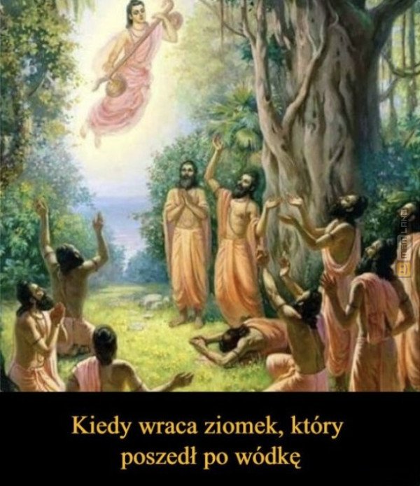 Śmieszny mem: 1670228 - MemLand