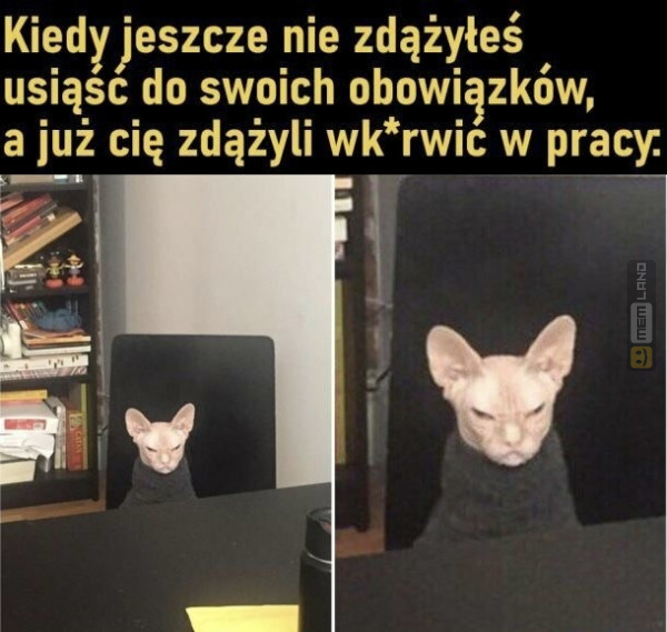 Śmieszny mem: 1674311 - MemLand