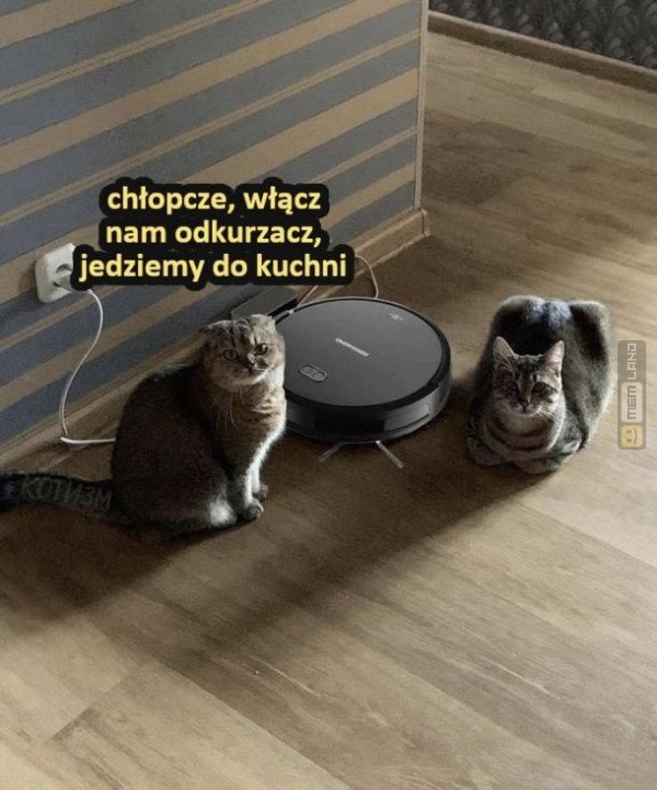 Śmieszny mem: 1681419 - MemLand