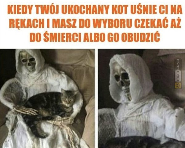 Śmieszny mem: 1689610 - MemLand