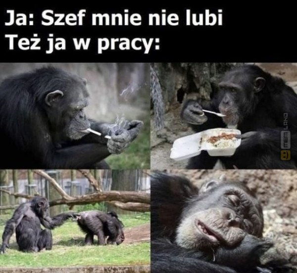 Śmieszny mem: 1703216 - MemLand