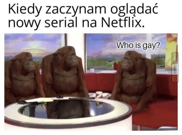 Śmieszny mem: 1704035 - MemLand