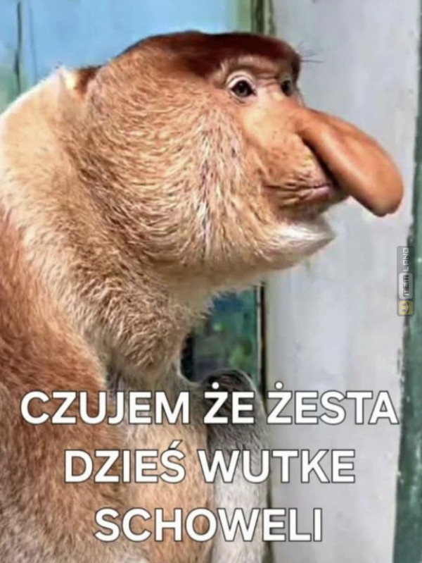 Śmieszny mem: 1714134 - MemLand