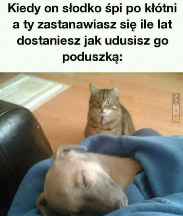 Śmieszny mem: 1716869 - MemLand